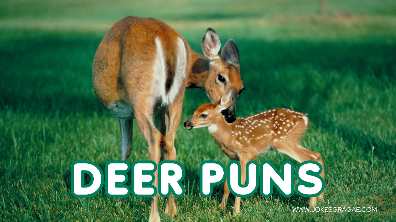 50 Funny Jokes About Deer Puns - Jokes Garage