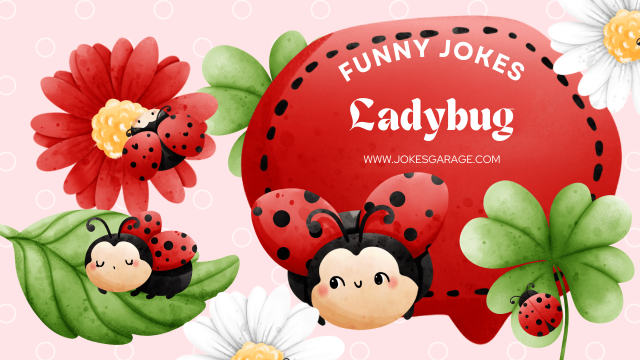 74 Funny Ladybug Puns - Jokes Garage