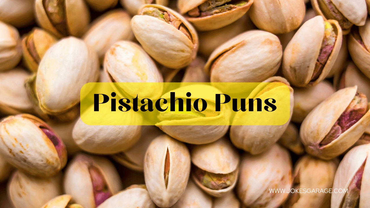 79 Cute Pistachio Puns - Jokes Garage