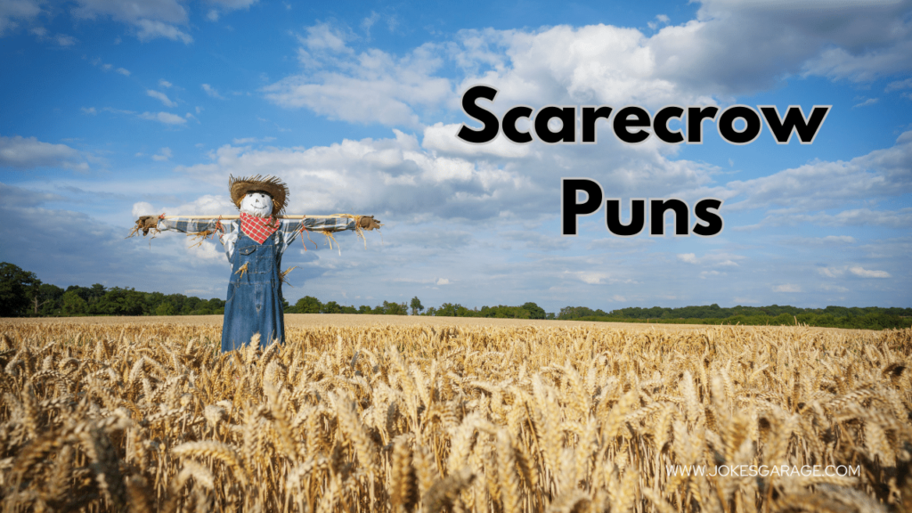 Scarecrow Puns