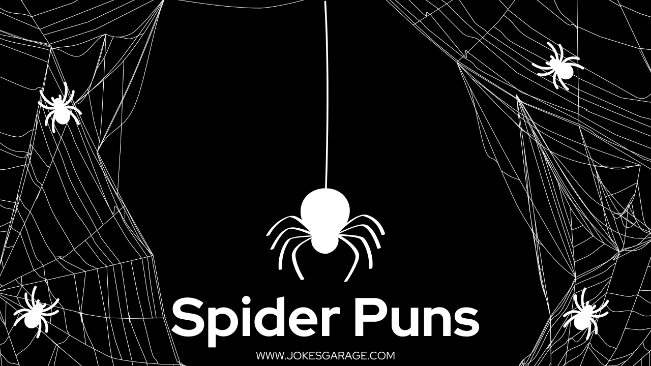 83 Halloween Spider Puns - Jokes Garage