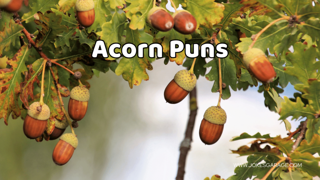 Acorn Puns