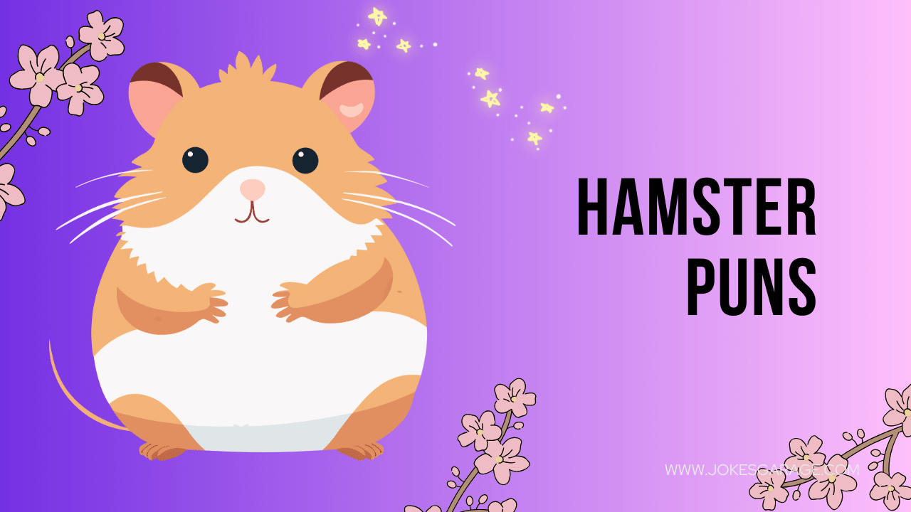 73 Hamster Puns One Liners - Jokes Garage