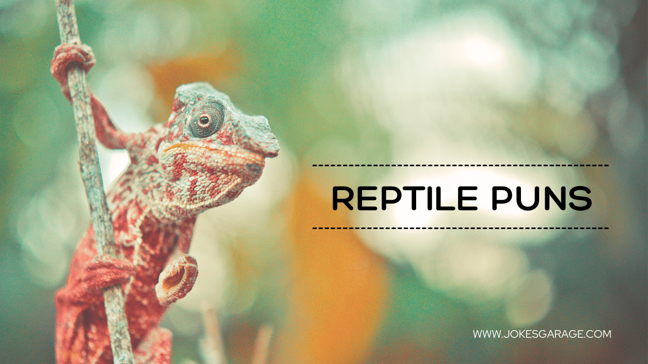 56 Funny Reptile Puns - Jokes Garage