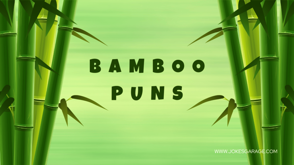 48 Panda Bamboo Puns Jokes Garage
